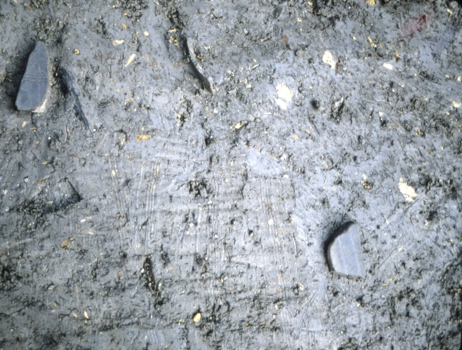 鋳型の出土状況